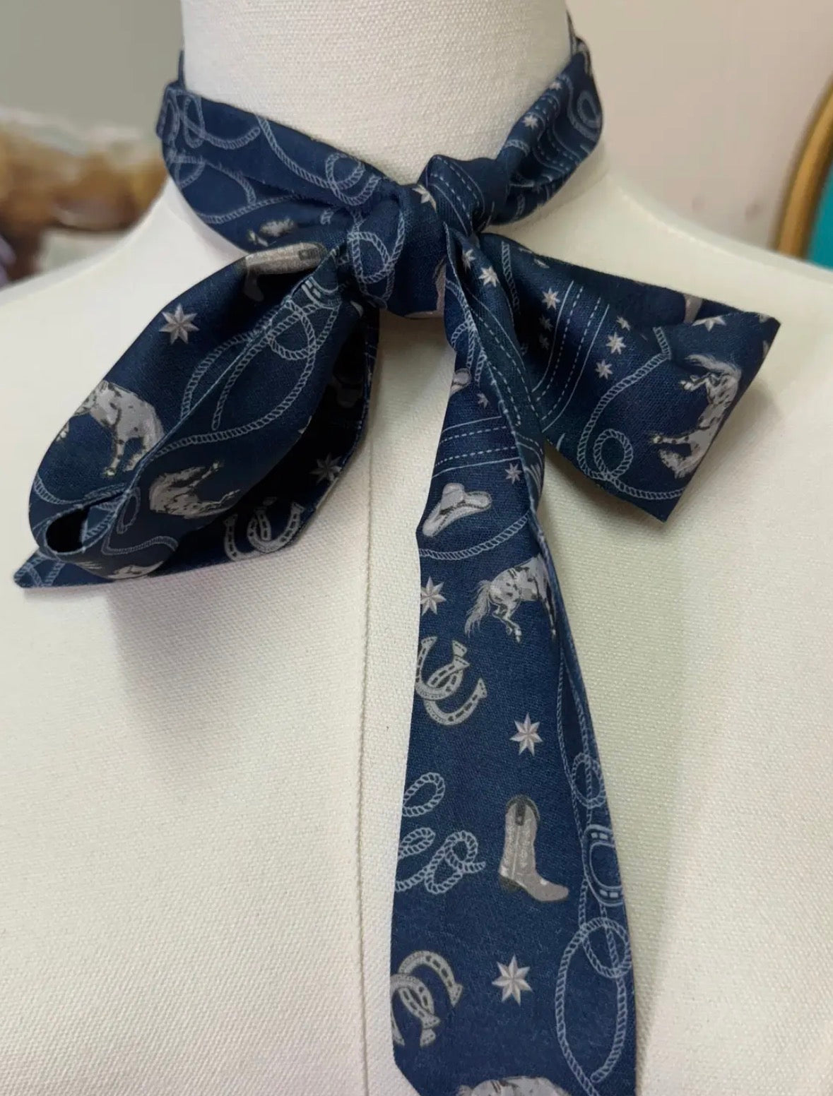 Rodeo Bandana Twilly